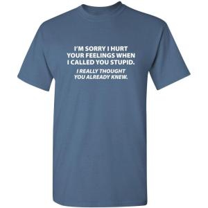 imageYou Stupid I Thought You Knew Humor Graphic Novelty Sarcastic Funny T ShirtDusk