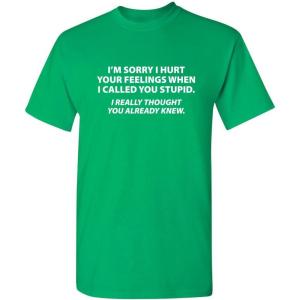 imageYou Stupid I Thought You Knew Humor Graphic Novelty Sarcastic Funny T ShirtIrish