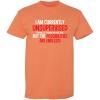 imageIm Currently Unsupervised Novelty Graphic Sarcastic Funny T ShirtSunset