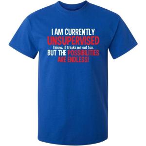 imageIm Currently Unsupervised Novelty Graphic Sarcastic Funny T ShirtRoyal