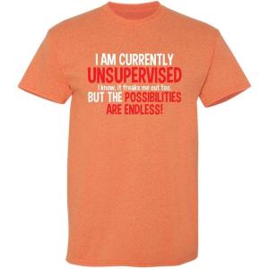 imageIm Currently Unsupervised Novelty Graphic Sarcastic Funny T ShirtSunset