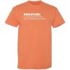 imageImmature A Word Boring People Humor Use Graphic Novelty Sarcastic Funny T ShirtSunset