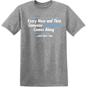 imageSomeone Awesome Comes Along Graphic Novelty Sarcastic Quote Funny T ShirtHeather Grey