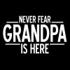 imageGraphic Tees for Dad Fathers Day Shirts Graphic Grandpa Gifts for Pop Funny T ShirtBlack29