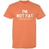 imageIm Not Fat Im Just Easy to See Graphic Novelty Sarcastic Funny T ShirtSunset