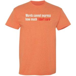 imageWords Cannot Express Dont Care Funny Quote Tee  Cool Casual Funny Mens Tshirts  Graphic Novelty Sarcastic T ShirtSunset