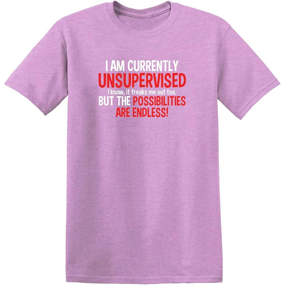 imageIm Currently Unsupervised Novelty Graphic Sarcastic Humorous Mens Funny T ShirtHeather Orchid
