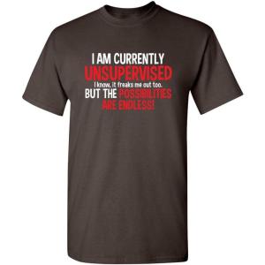 imageIm Currently Unsupervised Novelty Graphic Sarcastic Humorous Mens Funny T ShirtBrown