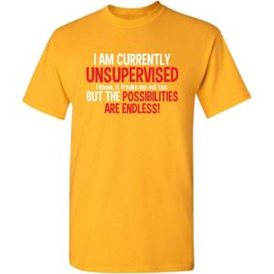 imageIm Currently Unsupervised Novelty Graphic Sarcastic Humorous Mens Funny T ShirtGold