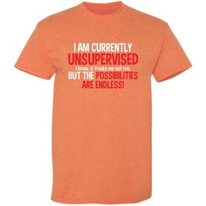 imageIm Currently Unsupervised Novelty Graphic Sarcastic Humorous Mens Funny T ShirtSunset