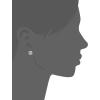 imageAnne Klein EarringCrystal