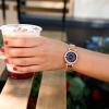 imageAnne Klein Womens Premium Crystal Accented Bracelet Watch AK2928Rose GoldBlue