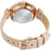 imageAnne Klein Womens Leather Strap WatchBlushRose Gold
