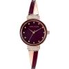 imageAnne Klein Womens Premium Crystal Accented Bangle Watch SetBurgundyRose Gold