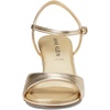 image:imageAnne Klein SydniePlatinum
