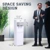 imageIgloo Hot and Cold Water Cooler Dispenser  Holds 3 ampamp 5 Gallon Bottles 2 Temperature Spouts with Dispensing Paddles No Lift Bottom Loading Child Safety Lock  WhiteWhite