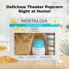 imageNostalgia Premium 4Ounce Popcorn AllInOne Bag  Includes Kernels Butter Flavored Coconut Oil and Seasoning Salt  Pack of 241 LB and 3 Seasonings