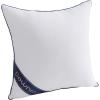 imageDOWNCOOL 100 Cotton Stuffer Throw Pillow Insert Set of 2 Rectangle Down and Feather Filled Decorative Bed Sofa Insert 12x20 Inch White1 Pack Down Alternative