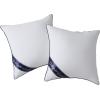 imageDOWNCOOL 100 Cotton Stuffer Throw Pillow Insert Set of 2 Rectangle Down and Feather Filled Decorative Bed Sofa Insert 12x20 Inch White2 Pack Down Alternative