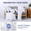 imageDOWNCOOL 100 Cotton Stuffer Throw Pillow Insert Set of 2 Rectangle Down and Feather Filled Decorative Bed Sofa Insert 12x20 Inch White2 Pack Feather