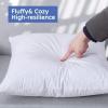 imageDOWNCOOL 100 Cotton Stuffer Throw Pillow Insert Set of 2 Rectangle Down and Feather Filled Decorative Bed Sofa Insert 12x20 Inch White2 Pack Feather