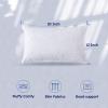 imageDOWNCOOL 100 Cotton Stuffer Throw Pillow Insert Set of 2 Rectangle Down and Feather Filled Decorative Bed Sofa Insert 12x20 Inch White2 Pack Feather