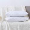 imageDOWNCOOL 100 Cotton Stuffer Throw Pillow Insert Set of 2 Rectangle Down and Feather Filled Decorative Bed Sofa Insert 12x20 Inch White2 Pack Feather