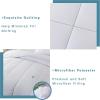 imageDOWNCOOL All Seasons Sage Green Bedding Comforters ampamp Sets with 2 Pillow Cases 3 Pieces Down Alternative Comforter Set Bedding Comforter Sets Queen Lightweight and Noiseless Queen88x90 inchesWhite