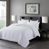 imageDOWNCOOL All Seasons Sage Green Bedding Comforters ampamp Sets with 2 Pillow Cases 3 Pieces Down Alternative Comforter Set Bedding Comforter Sets Queen Lightweight and Noiseless Queen88x90 inchesWhite