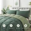 imageDOWNCOOL All Seasons Sage Green Bedding Comforters ampamp Sets with 2 Pillow Cases 3 Pieces Down Alternative Comforter Set Bedding Comforter Sets Queen Lightweight and Noiseless Queen88x90 inchesDouble Green