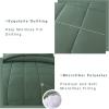 imageDOWNCOOL All Seasons Sage Green Bedding Comforters ampamp Sets with 2 Pillow Cases 3 Pieces Down Alternative Comforter Set Bedding Comforter Sets Queen Lightweight and Noiseless Queen88x90 inchesSage Green