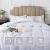 imageDOWNCOOL Comforters Queen Size Duvet InsertSage Green All Season Duvet Lightweight Quilt Down Alternative Hotel Comforter with Corner Tabs Sage Green Queen 88x92 InchesWhite