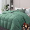 imageDOWNCOOL Comforters Queen Size Duvet InsertSage Green All Season Duvet Lightweight Quilt Down Alternative Hotel Comforter with Corner Tabs Sage Green Queen 88x92 InchesSage Green