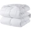 imageDOWNCOOL Comforters Queen Size Duvet InsertSage Green All Season Duvet Lightweight Quilt Down Alternative Hotel Comforter with Corner Tabs Sage Green Queen 88x92 InchesWhite