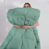 imageDOWNCOOL Comforters Queen Size Duvet InsertSage Green All Season Duvet Lightweight Quilt Down Alternative Hotel Comforter with Corner Tabs Sage Green Queen 88x92 InchesSage Green