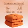 imageDOWNCOOL Comforters Queen Size Duvet InsertSage Green All Season Duvet Lightweight Quilt Down Alternative Hotel Comforter with Corner Tabs Sage Green Queen 88x92 InchesBurnt Orange