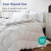 imageDOWNCOOL Feather Comforter King Size White Fluffy Duvet Insert King with Ultra Soft 100 Cotton Cover All Season Luxurious Hotel Bed Comforter with Corner Tabs 106quotx90quotWhite