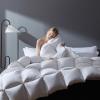 imageDOWNCOOL Goose Down Comforter Full Size  750 Fill Power Duvet Insert  Ultra Soft Hotel Collection Comforter  All