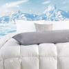 imageDOWNCOOL Luxury Full Body Pillow Insert with Fiber Cover  Ultra Soft Body Pillow for Sleeping  Breathable Long Bed Pillow Insert 20quotx54quotBlack with CoverCoolinggrey