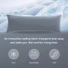 imageDOWNCOOL Luxury Full Body Pillow Insert with Fiber Cover  Ultra Soft Body Pillow for Sleeping  Breathable Long Bed Pillow Insert 20quotx54quotBlack with CoverCoolinggrey