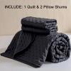 imageDOWNCOOL White Queen Quilt Bedding Set 3Pcs Ultrasonic Process Leaf Texture Pattern Queen Quilt Set Soft Lightweight Bedspread Coverlet All Season Queen Size Quilt90quotx96quotampamp 2 Pillow Shams02 Black