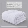 image:imageDOWNCOOL 1 Comforter Queen Size and 1 Body Pillow InsertDown Alternative Hotel Comforter with Corner Tabs