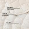 image:imageDOWNCOOL Velvet Quilt Set King Size 3 Pieces Soft Lightweight Quilted Velvet Bedspread Coverlet Bedding with 2 Pillow Shams for All Season Cream WhiteCream White