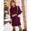 imageLILLUSORY Womens Turtleneck Oversized Long Sweater Dress 2025 Plus Size Tunic Pullover Knit Winter DressesWine Red