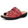 Bl.dull Red