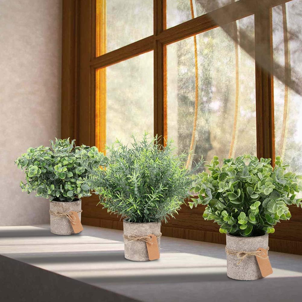 OurWarm 3 Pack Mini Potted Fake Plants Artificial Eucalyptus Plants Plastic Small Faux Rosemary Plants with Gift Tags for Rustic Farmhouse Home Bathroom Office Desk Indoor Greenery Tabletop DecorOurWarm 3 Pack Mini Potted Fake Plants Artificial Eucalyptus Plants Plastic Small Faux Rosemary Plants with Gift Tags for Rustic Farmhouse Home Bathroom Office Desk Indoor Greenery Tabletop Decor