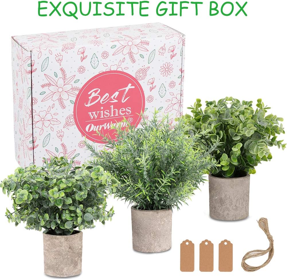 OurWarm 3 Pack Mini Potted Fake Plants Artificial Eucalyptus Plants Plastic Small Faux Rosemary Plants with Gift Tags for Rustic Farmhouse Home Bathroom Office Desk Indoor Greenery Tabletop DecorOurWarm 3 Pack Mini Potted Fake Plants Artificial Eucalyptus Plants Plastic Small Faux Rosemary Plants with Gift Tags for Rustic Farmhouse Home Bathroom Office Desk Indoor Greenery Tabletop Decor