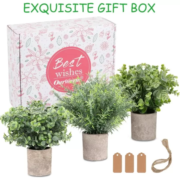 OurWarm 3 Pack Mini Potted Fake Plants Artificial Eucalyptus Plants Plastic Small Faux Rosemary Plants with Gift Tags for Rustic Farmhouse Home Bathroom Office Desk Indoor Greenery Tabletop DecorOurWarm 3 Pack Mini Potted Fake Plants Artificial Eucalyptus Plants Plastic Small Faux Rosemary Plants with Gift Tags for Rustic Farmhouse Home Bathroom Office Desk Indoor Greenery Tabletop Decor