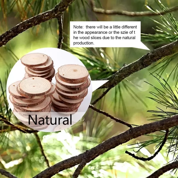 OurWarm 50pcs Natural Wood Slices Unfinished Wood Circles for Crafts Centerpieces 2025 Inches Predrilled Wood Craft Kit for Arts and DIY Christmas Tree Ornaments
