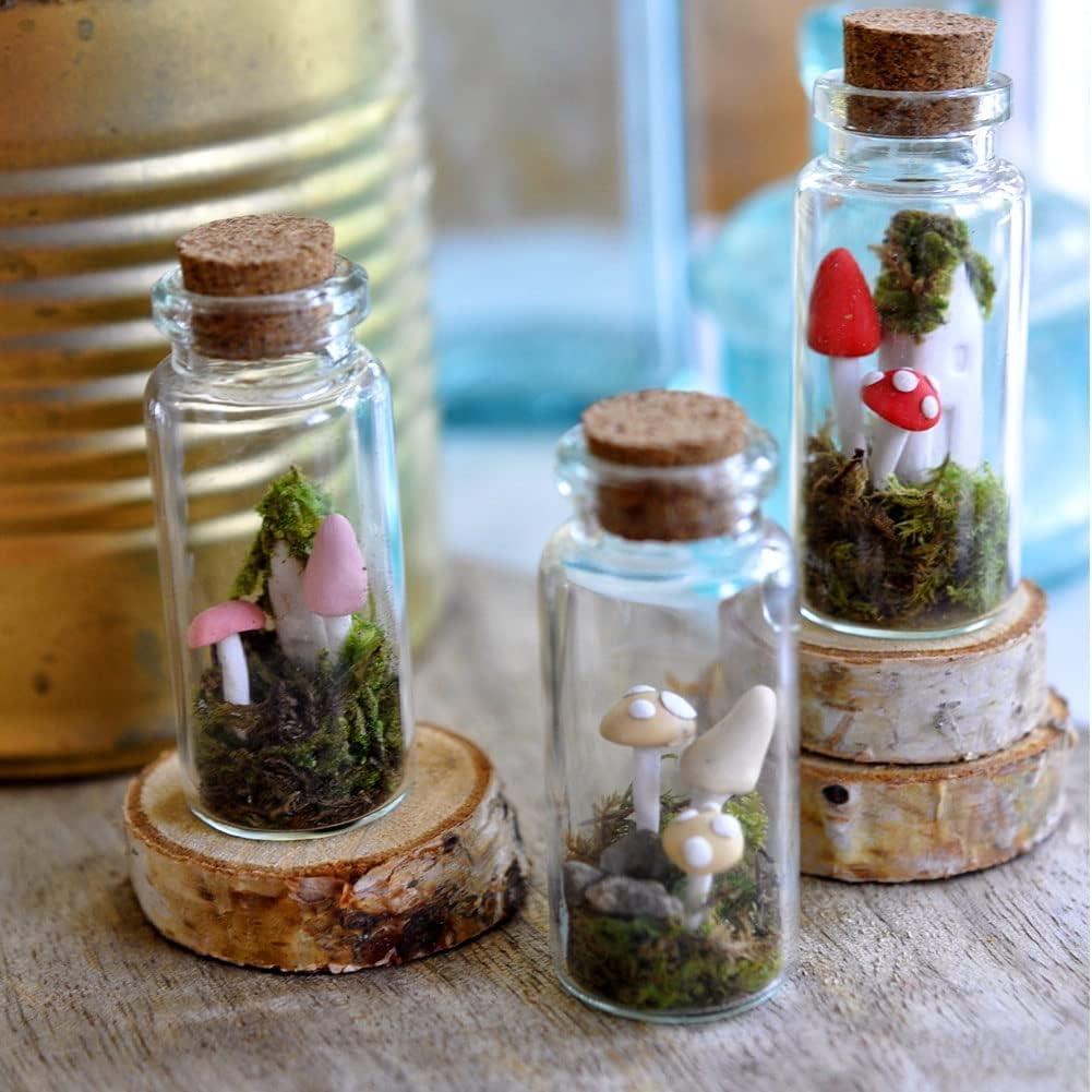 imageOurWarm 12 Pack Mini Jars with Lids 17OZ Small Glass Bottles with Cork Tag Label and Twine Versatile Small Glass Jars for Candy Potion Spice DIY Crafts Gift Birthday Wedding Party Decorations32pcs  40ml